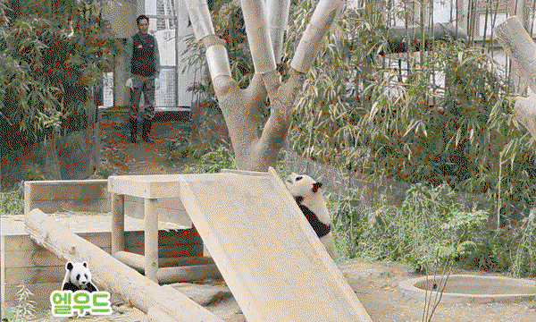BMOGyG.gif