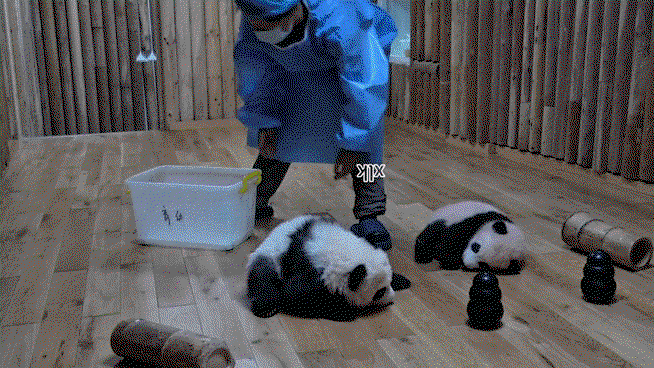 BNHVqU.gif
