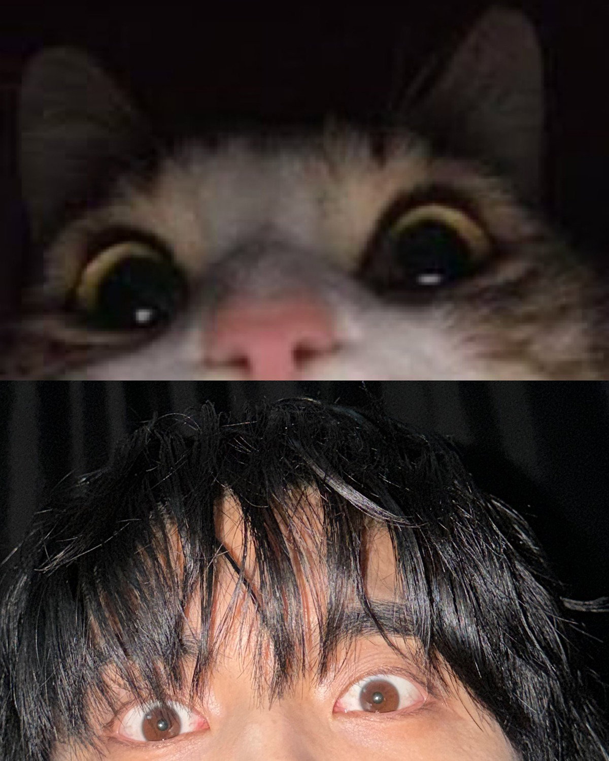 BOHZbj