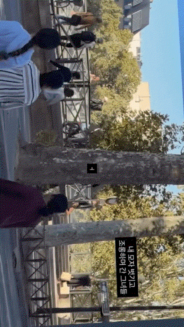 BPGtpi.gif