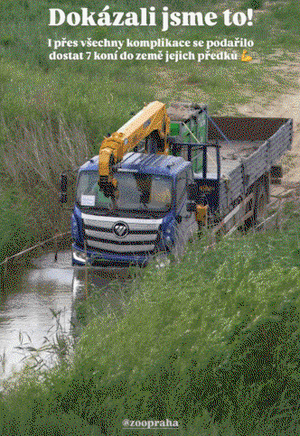 BPYpNa.gif