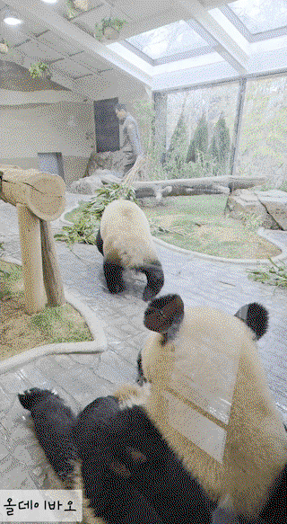 BPgJPF.gif