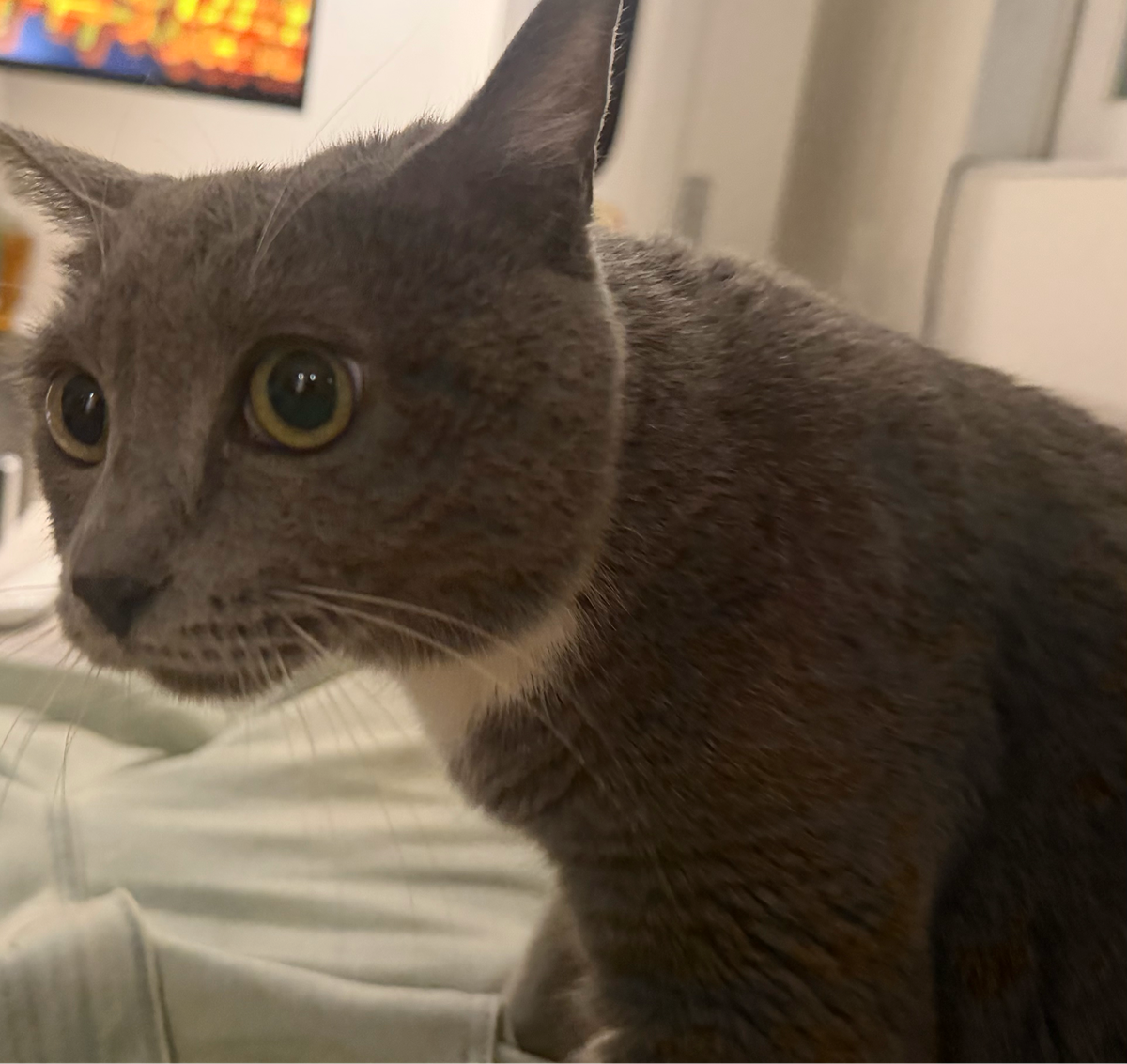 BSwDkp