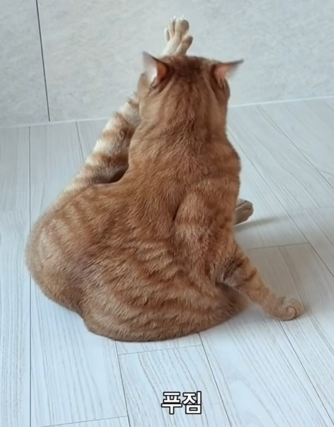 BTaugN
