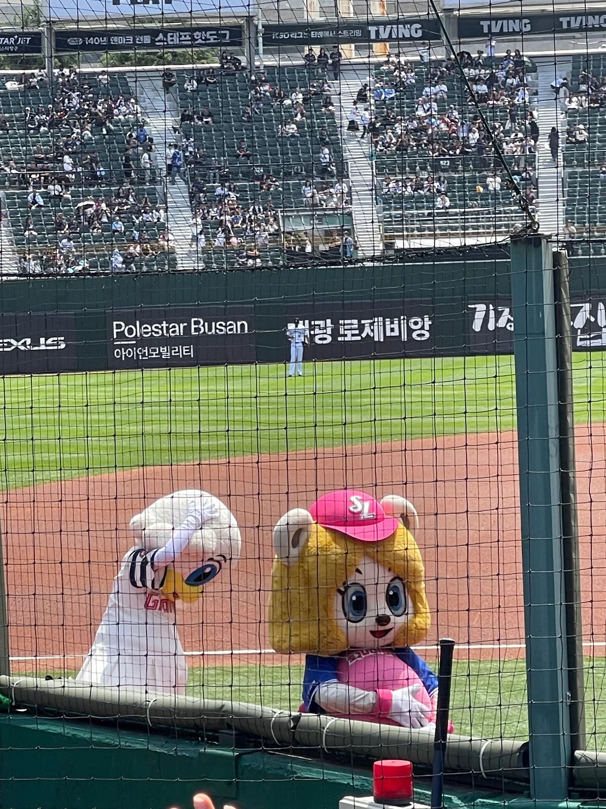 BWPcNq