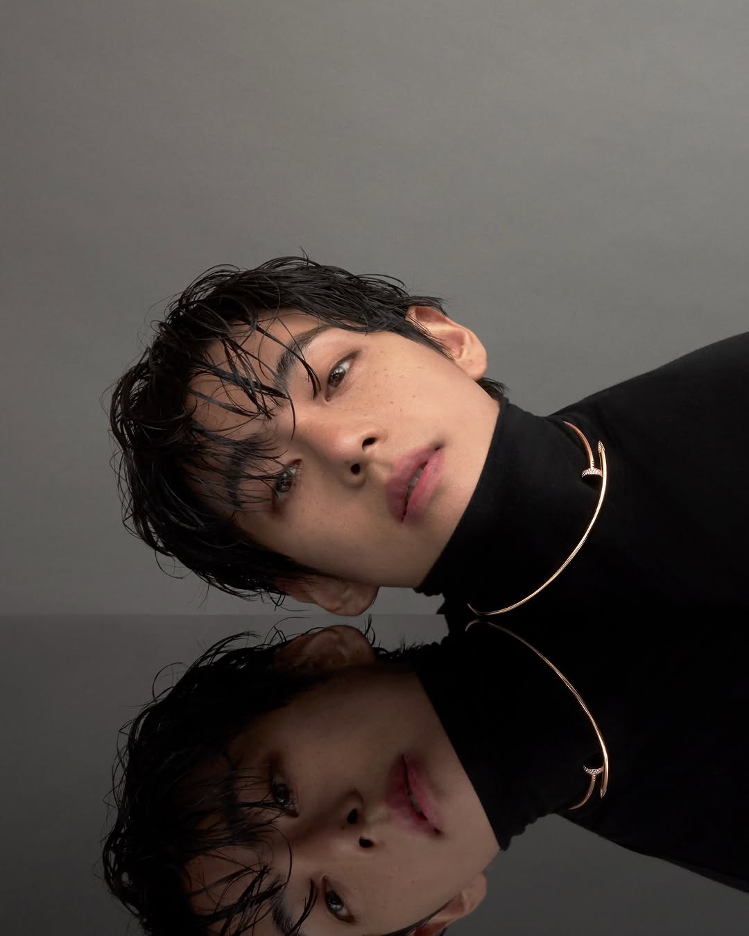 BXjWdP