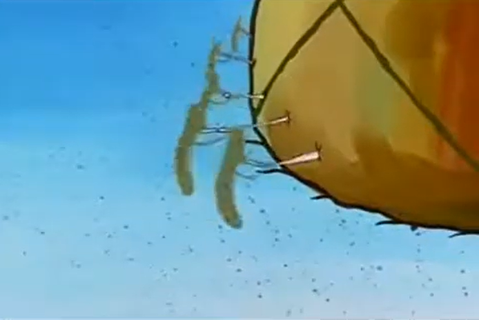 BZEWcN