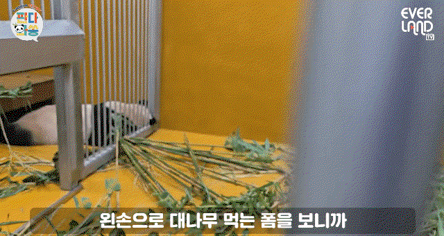 BZeXFr.gif
