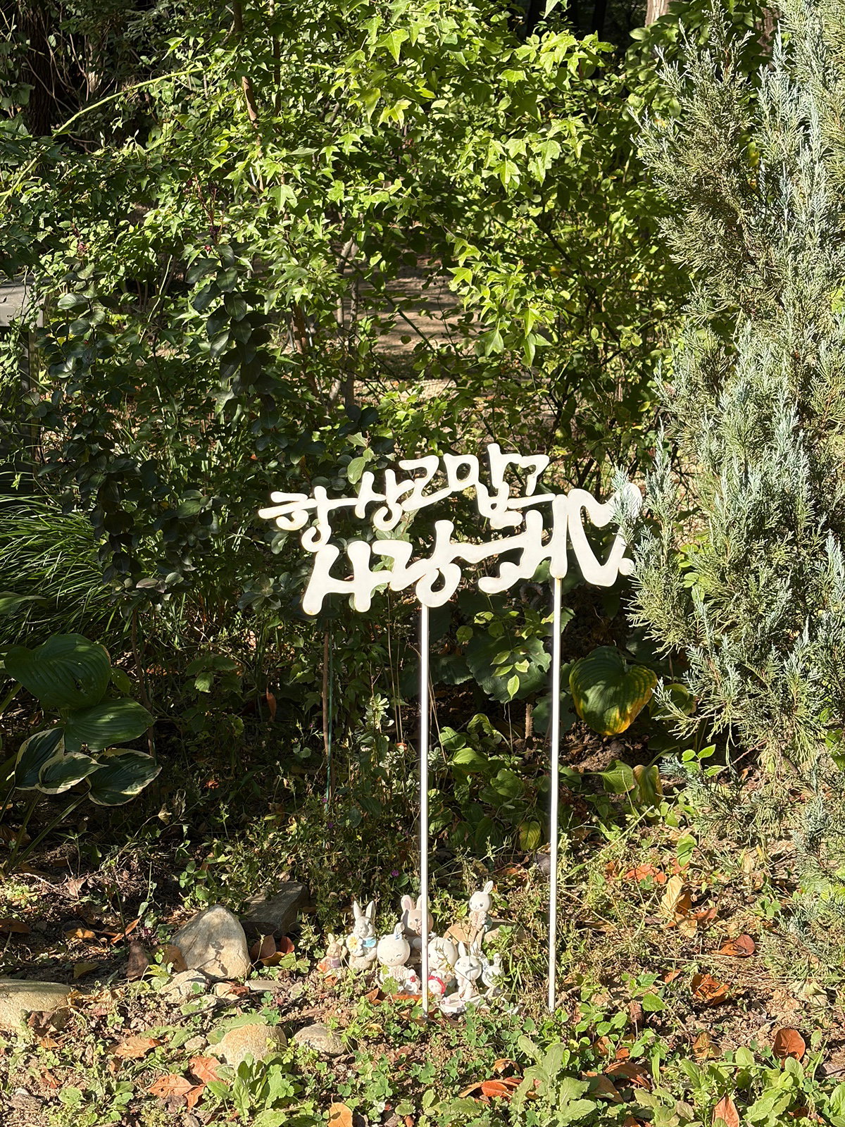 BZfvnH