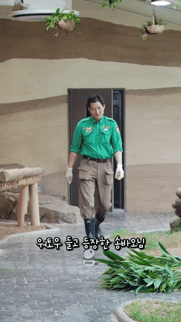 BbBjms.gif