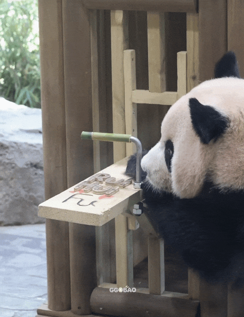 BgjsZb.gif