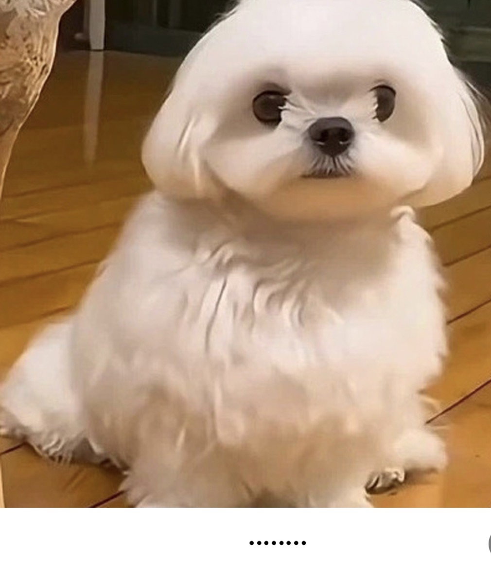 BhwIpf