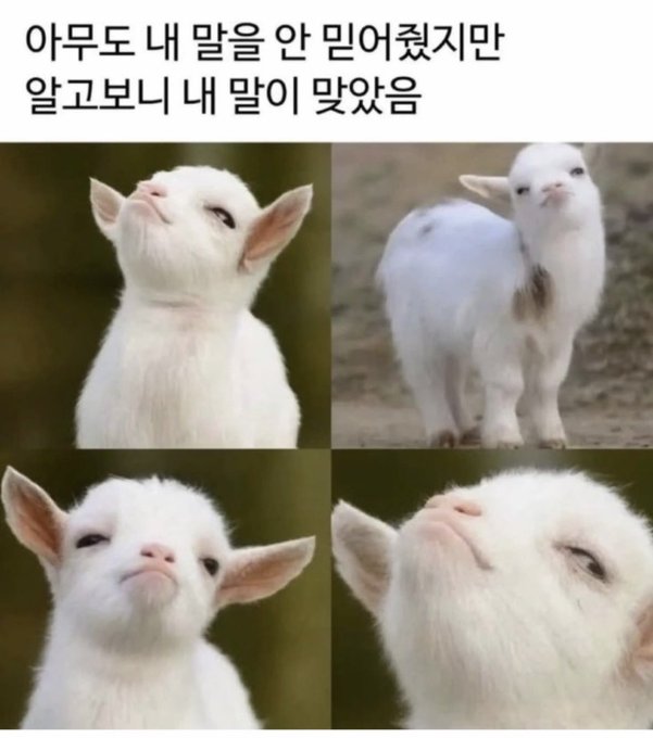 BiWcOS