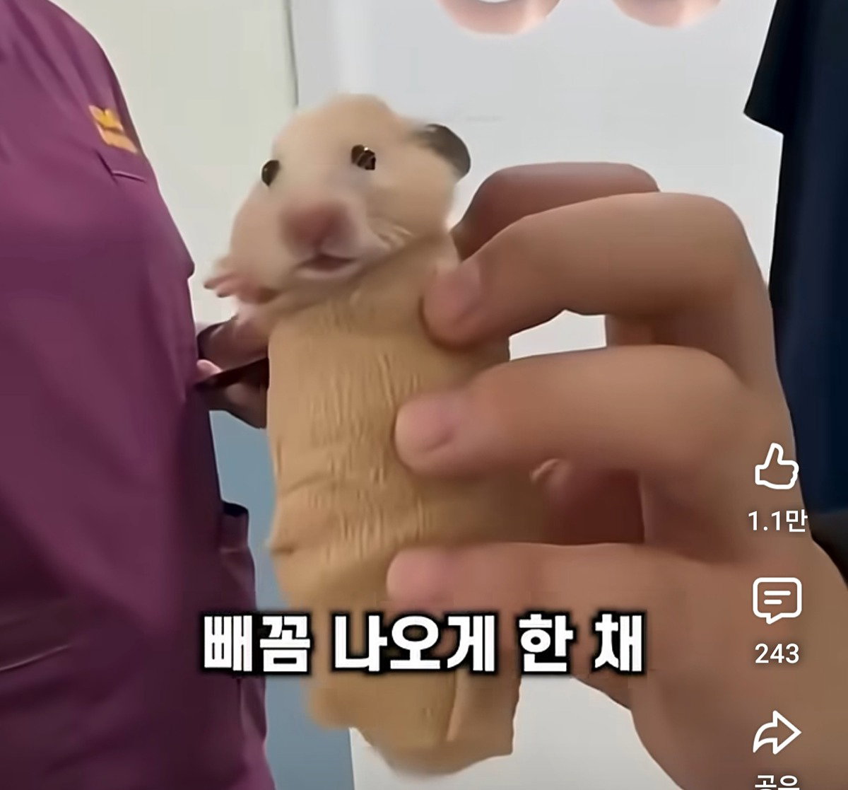 BjBCNS