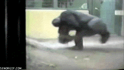 BkXbQm.gif