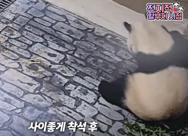 BktssF.gif
