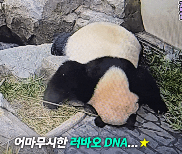 BlXknw.gif
