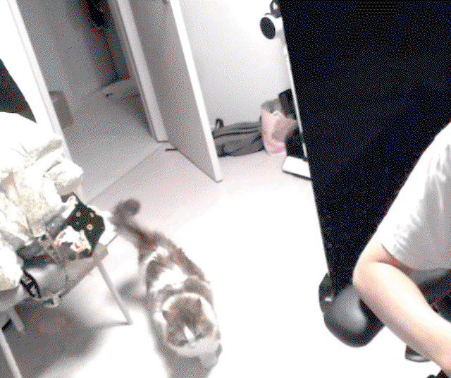 BmKVUn.gif