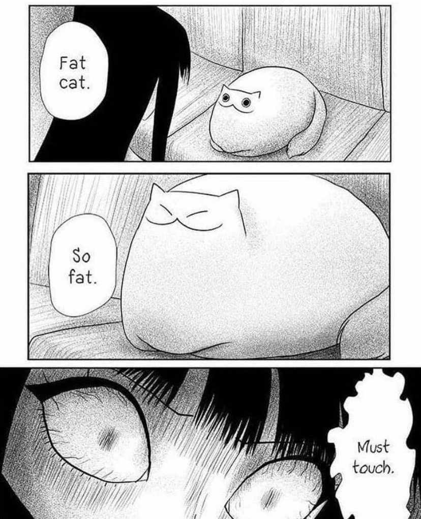 BmjKSw