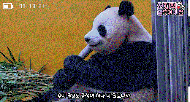 BnEUSC.gif
