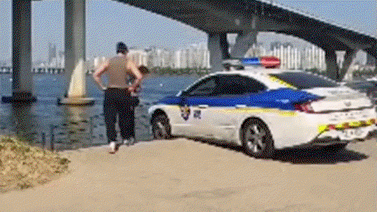 BsVNAS.gif
