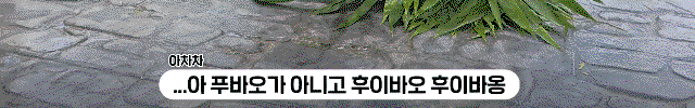 BuHyBa.gif