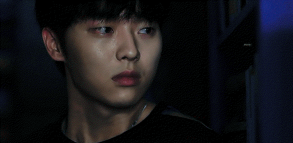 BureNG.gif