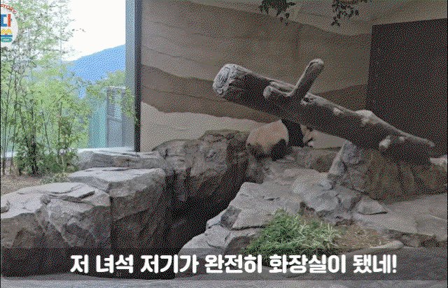 BvjODM.gif