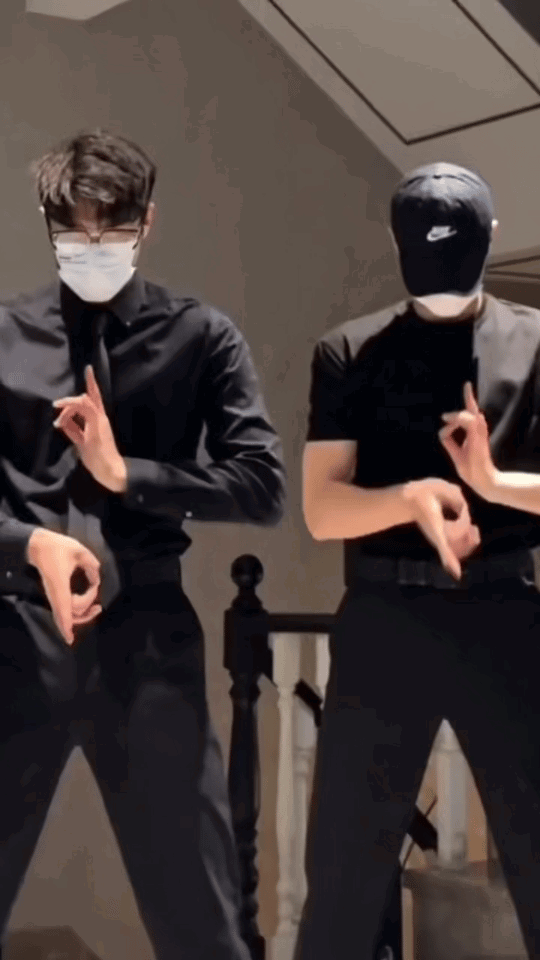 BwgSHa.gif