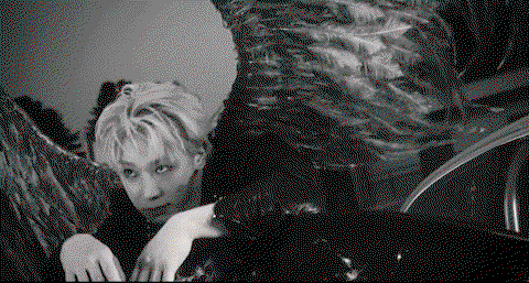 BwuTDW.gif