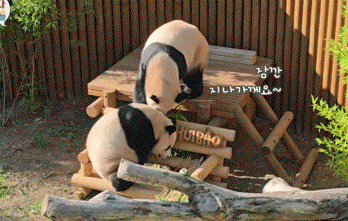 ByUpii.gif