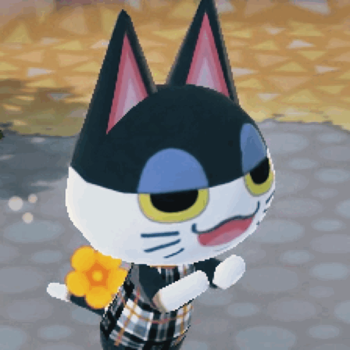 BywkDi.gif