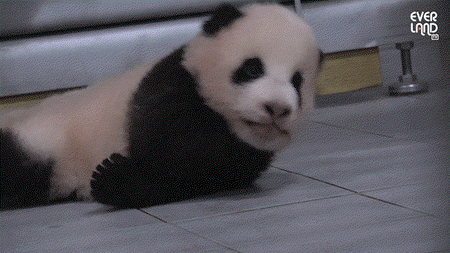 CAkTRu.gif