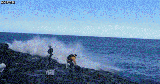 CCCeZc.gif