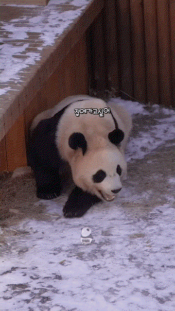CCNztQ.gif