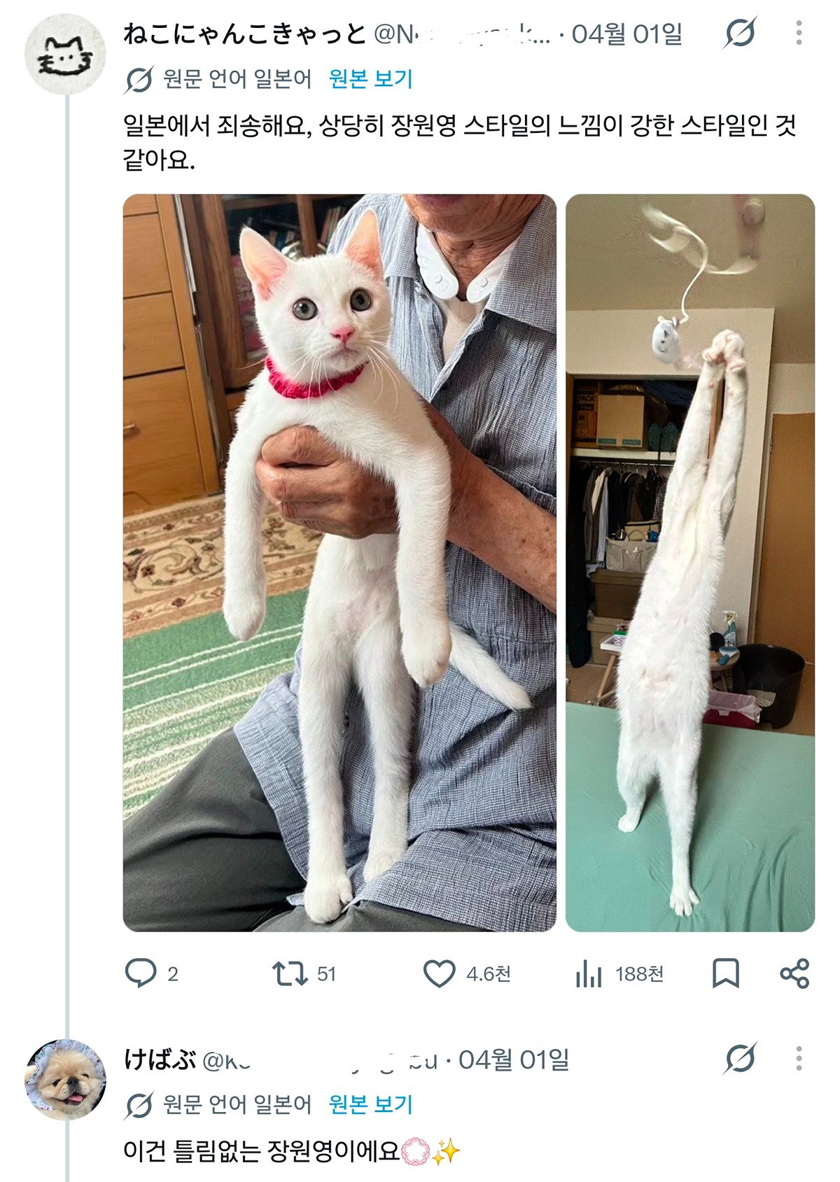 CCamGx