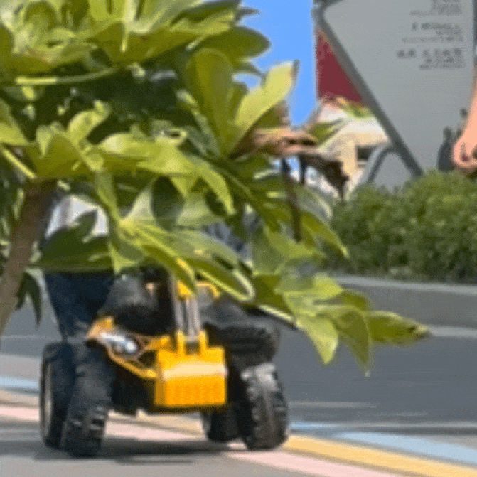 CFqsKa.gif
