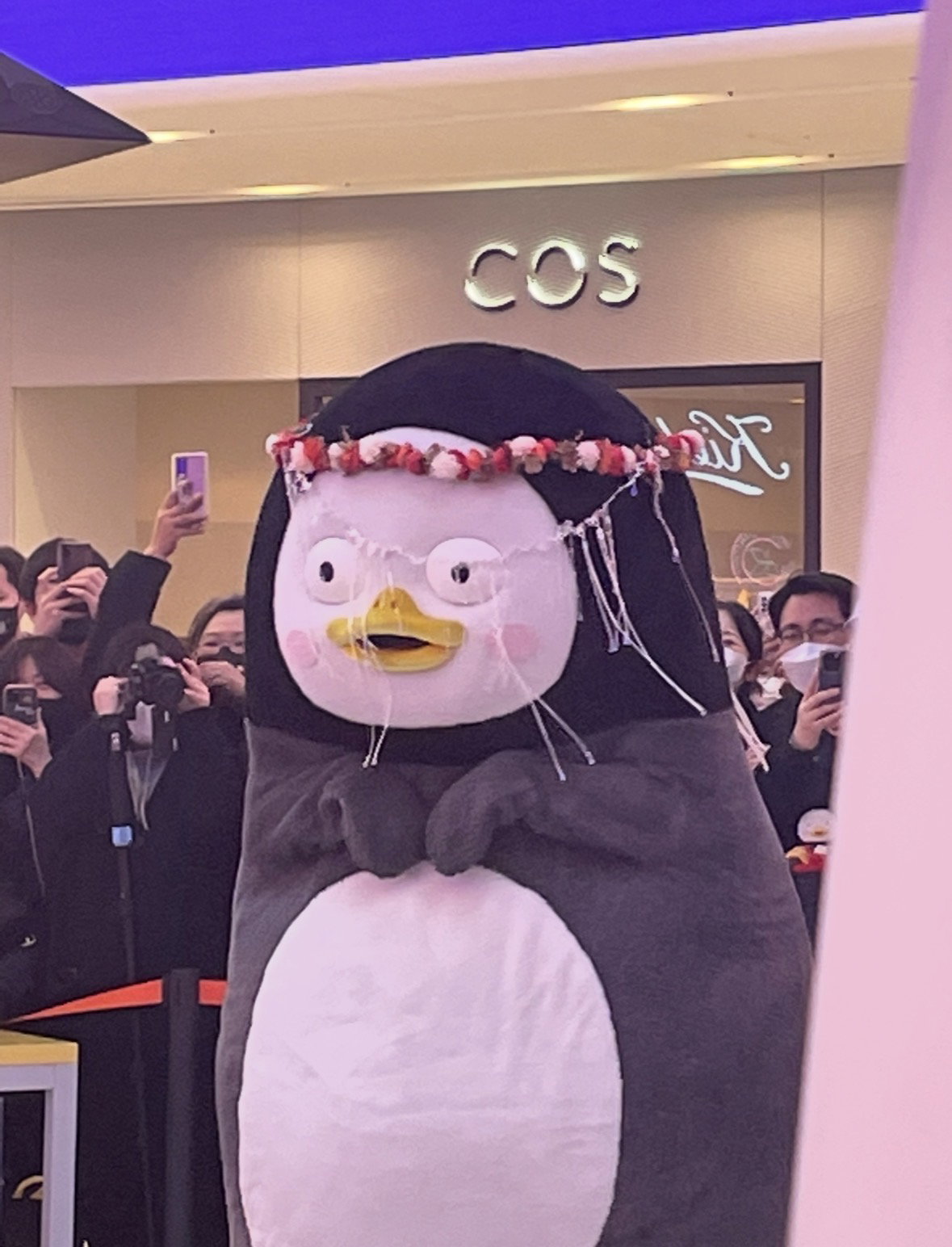CGEIJh