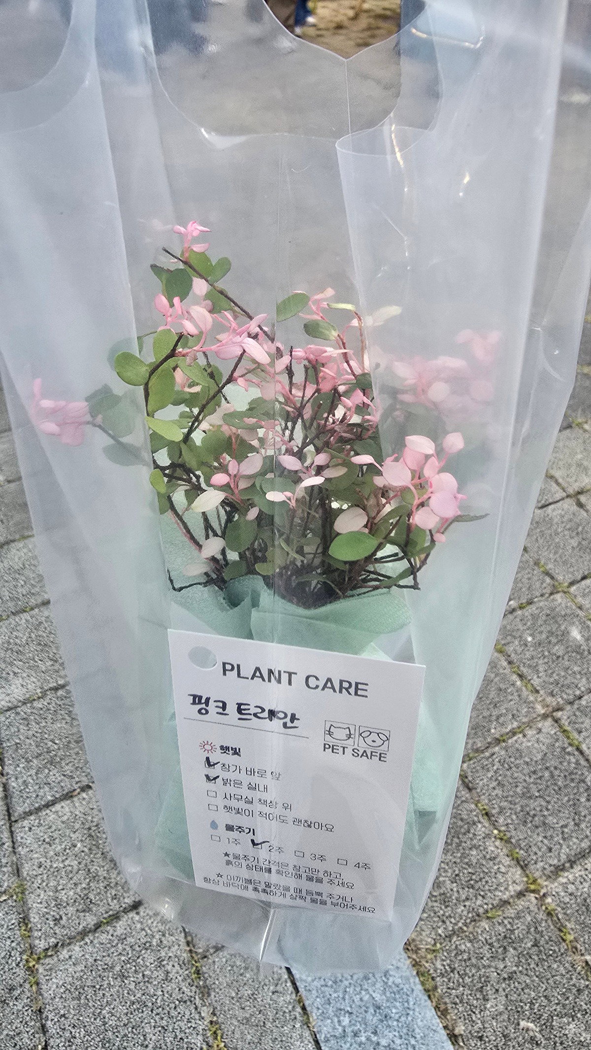 CIPrKt