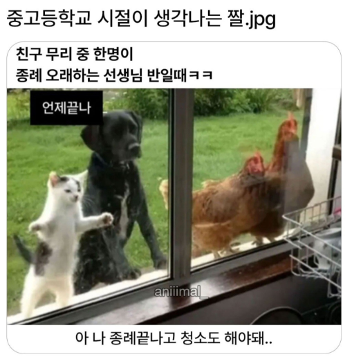 CJhZoP