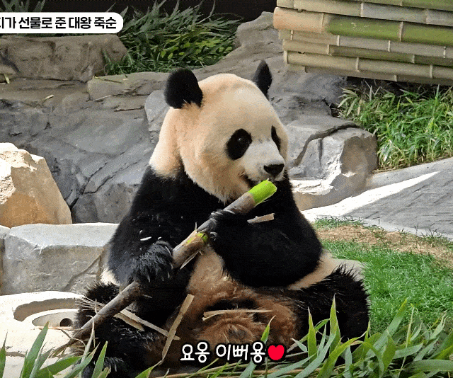 CKfidU.gif