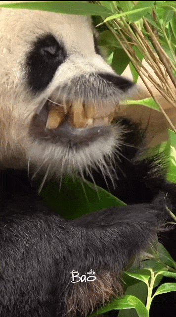 CKxZQe.gif