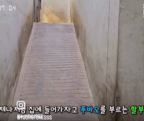 CMgbbH.gif