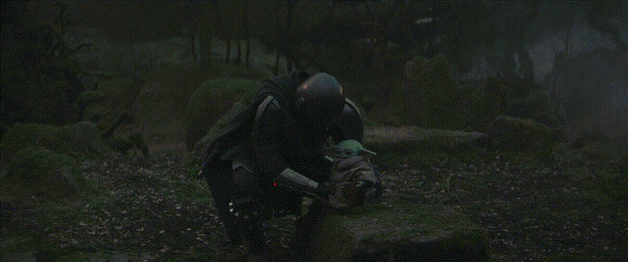CNewtH.gif