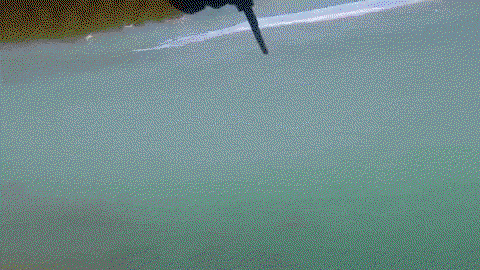 CNrqUT.gif