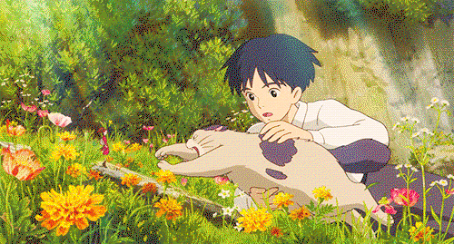 COxErC.gif