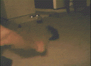 CPRlOC.gif