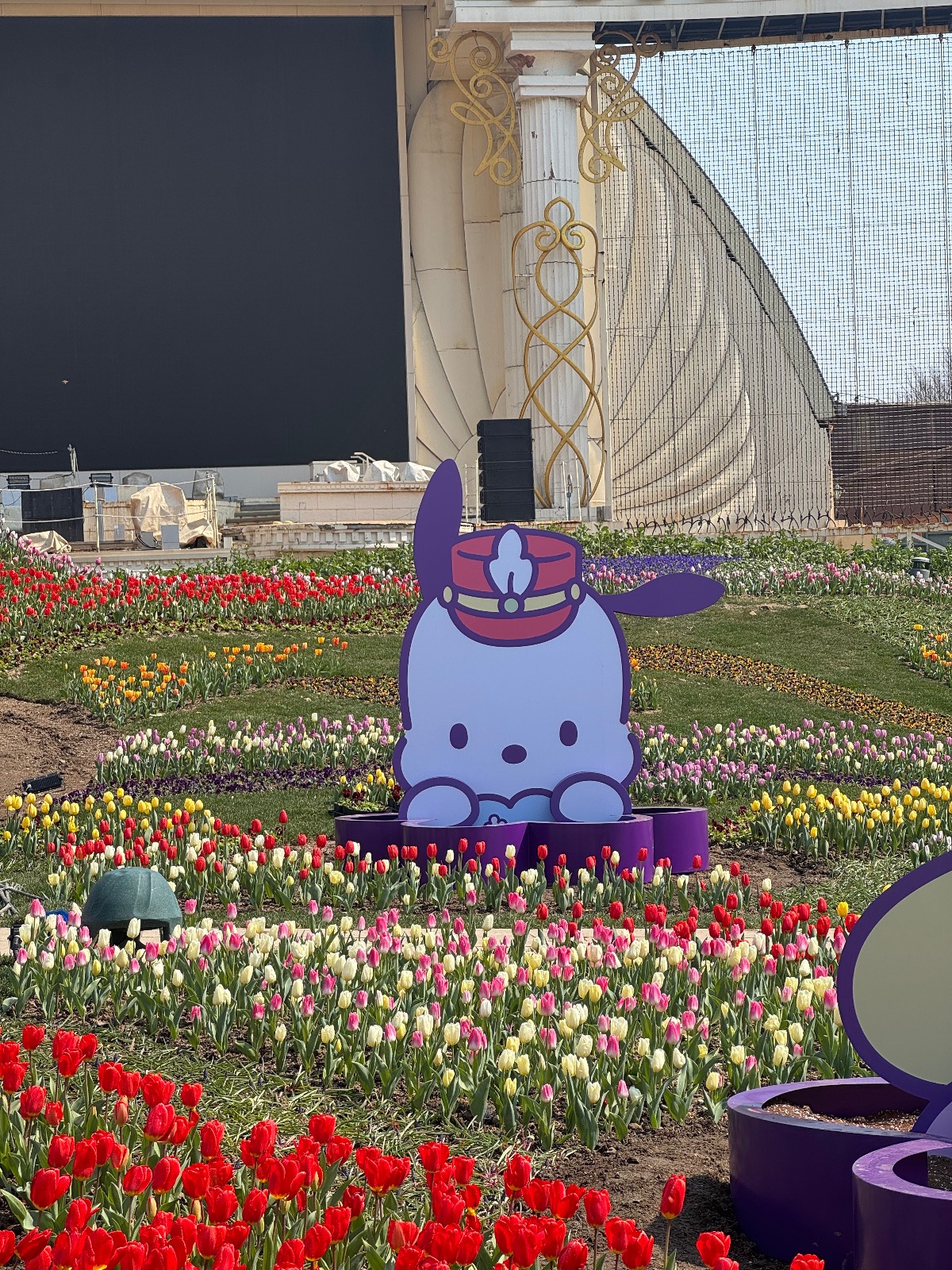 CPtYau