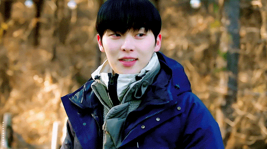 CSwWkm.gif