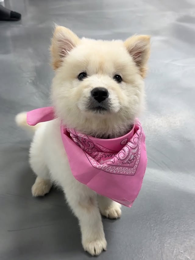 CTVYge